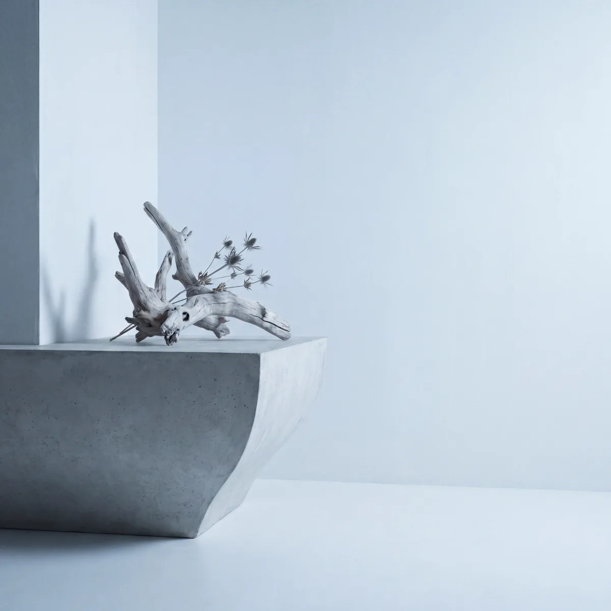 Dry branches in a concrete planter in a bright white room