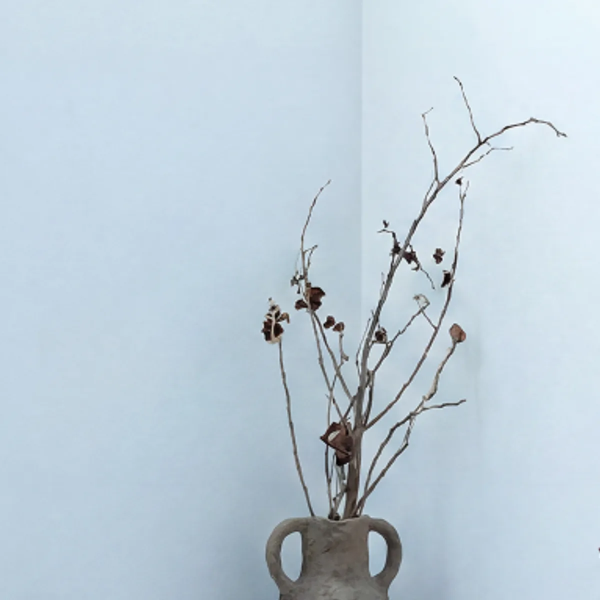 Dried branches in a ceramic vase against a pale wall